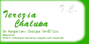 terezia chalupa business card